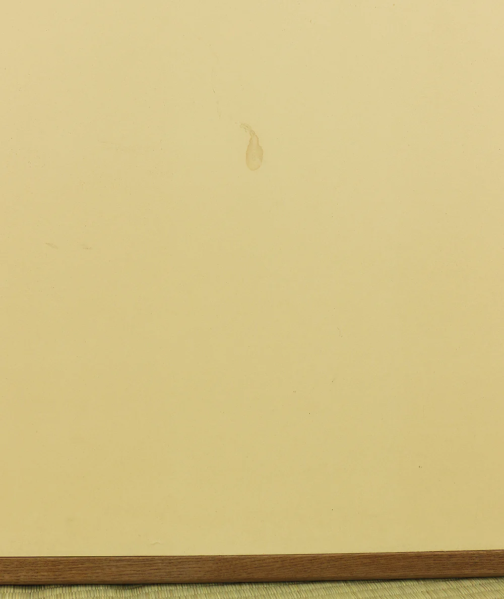 Plain White Paper Byobu Folding Screen Two Panels Room Dividers VA469 - Image 13