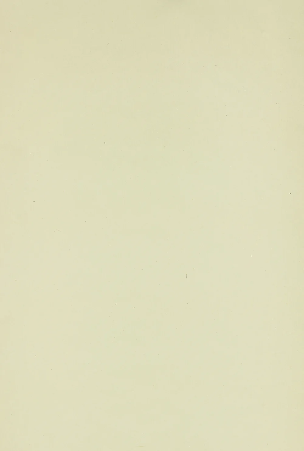 Please draw your beautiful work / Japanese Plain empty kakejiku kakemono wall hanging scroll RC248 - Image 4