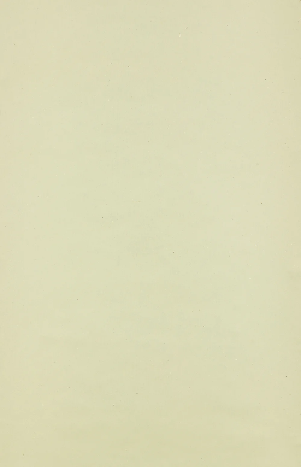 Please draw your beautiful work / Japanese Plain empty kakejiku kakemono wall hanging scroll RC248 - Image 5