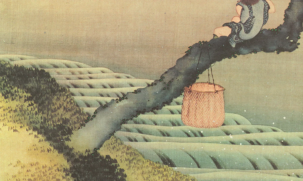 Reproduction Print 葛飾北斎 Katsushika Hokusai (1760-1849) Japanese art kakejiku kakemono wall hanging scroll / Fugakuzu 富嶽図 Mt.Fuji with Box RC564 - Image 10
