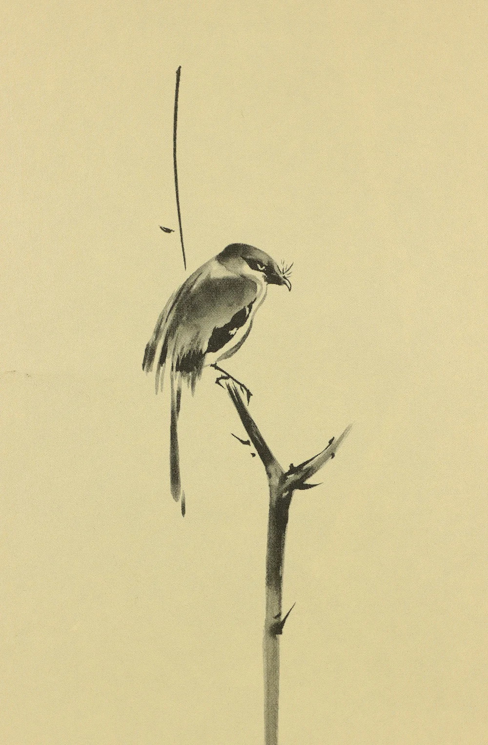 Reproduction Print 宮本武蔵 Miyamoto Musashi Japanese art kakejiku kakemono wall hanging scroll / Masterpiece 3pcs - Pigeon on Red Plum Tree, Hotei Looking at Cock Fighting and Shrike on Bare Tree with Original Box (Tomobako) RB811 - Image 5