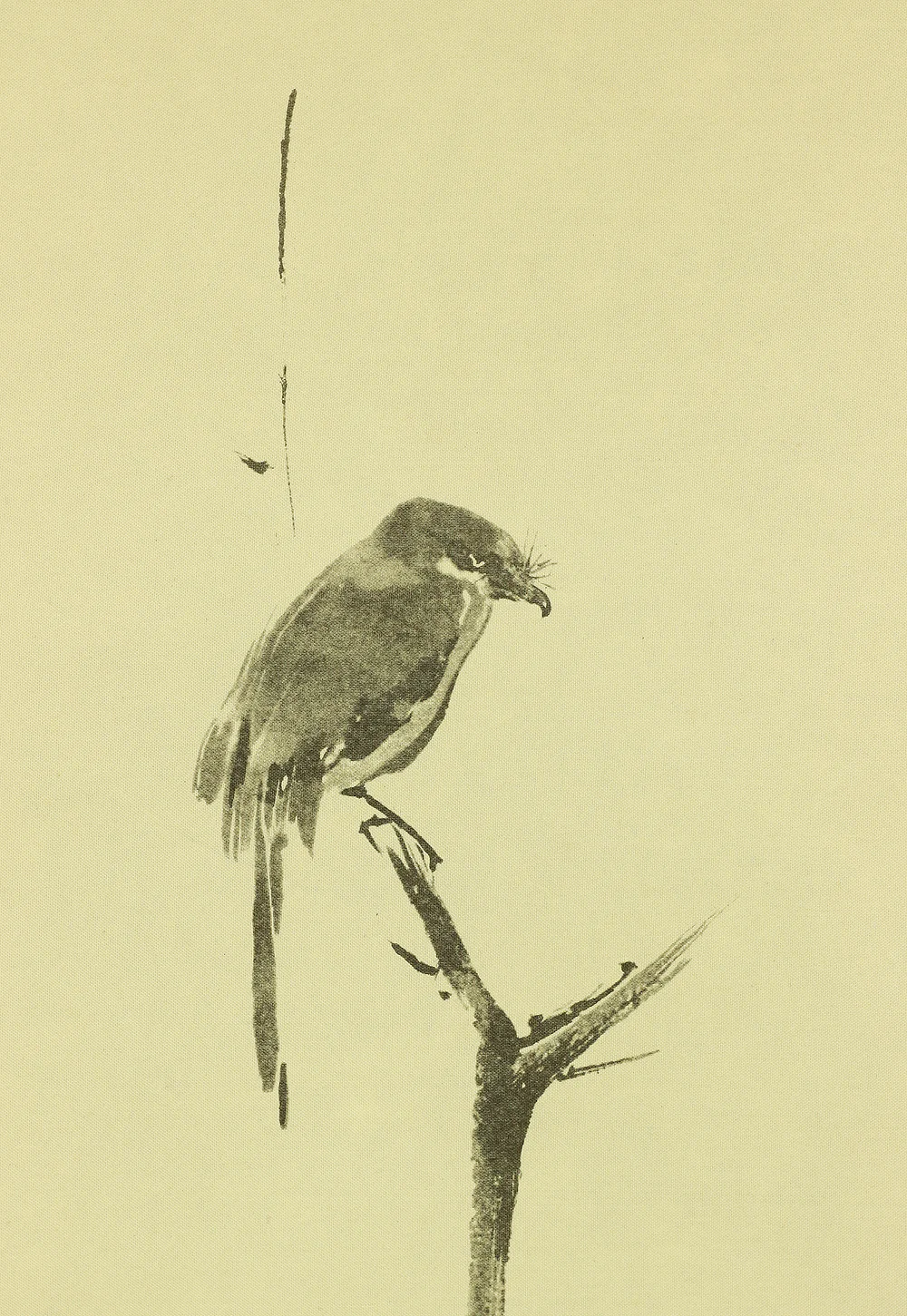 Reproduction Print 宮本武蔵 MIYAMOTO MUSASHI Japanese art kakejiku kakemono wall hanging scroll / Shrike on bare tree W994 - Image 5