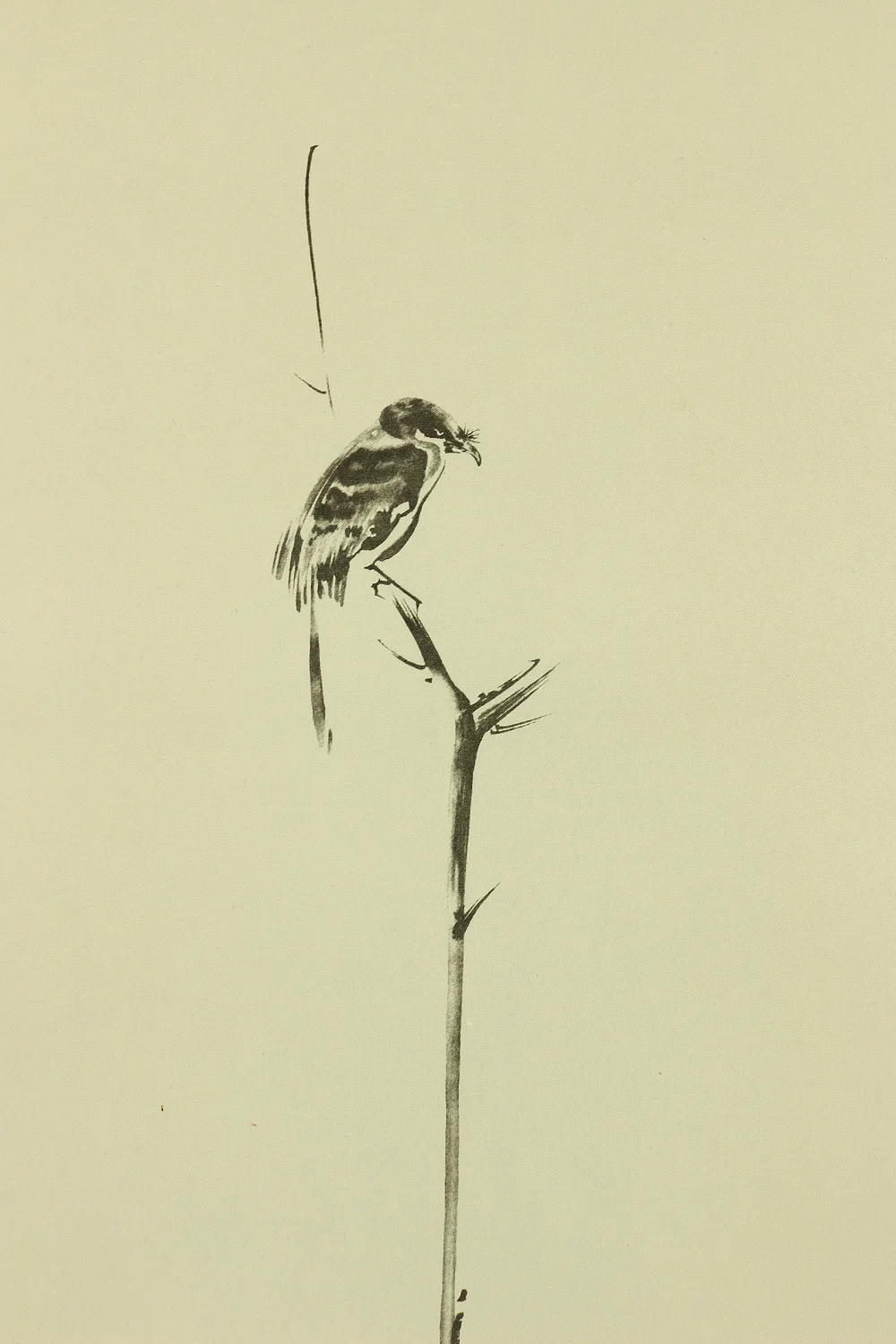 Reproduction Print 宮本武蔵 Miyamoto Musashi Japanese art kakejiku kakemono wall hanging scroll / Shrike on Bare Tree with Box RA631 - Image 6