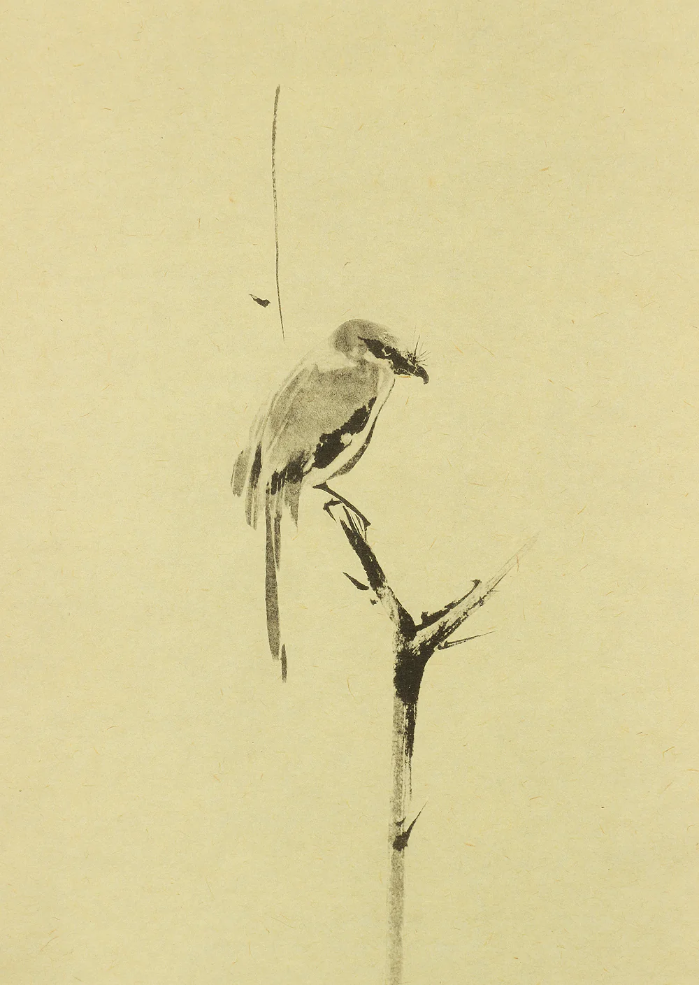 Reproduction Print 宮本武蔵 Miyamoto Musashi Japanese art kakejiku kakemono wall hanging scroll / Shrike on Bare Tree with Box RA931 - Image 6