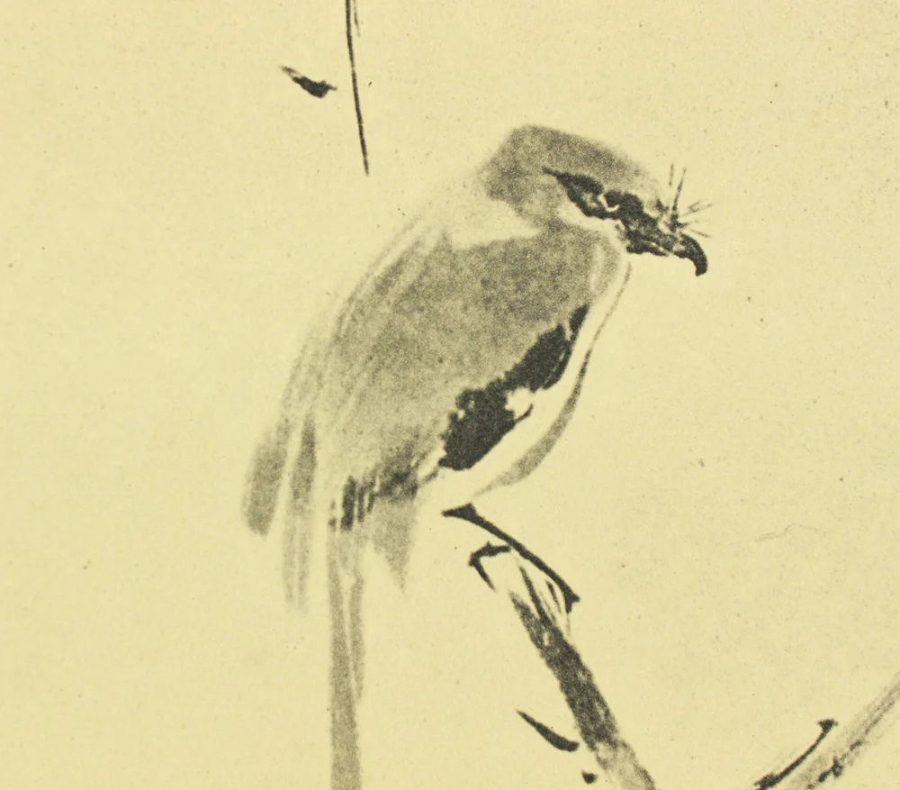 Reproduction Print 宮本武蔵 Miyamoto Musashi Japanese art kakejiku kakemono wall hanging scroll / Shrike on Bare Tree with Box RD461 - Image 5