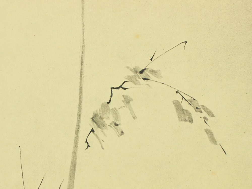 Reproduction Print 宮本武蔵 Miyamoto Musashi Japanese art kakejiku kakemono wall hanging scroll / Shrike on Bare Tree with Box RD461 - Image 7