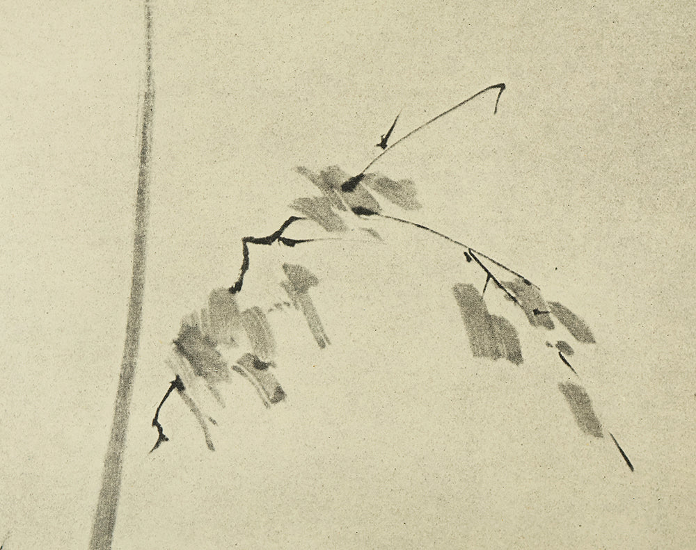 Reproduction Print 宮本武蔵 Miyamoto Musashi Japanese art kakejiku kakemono wall hanging scroll / Shrike on Bare Tree with Box RE542 - Image 10