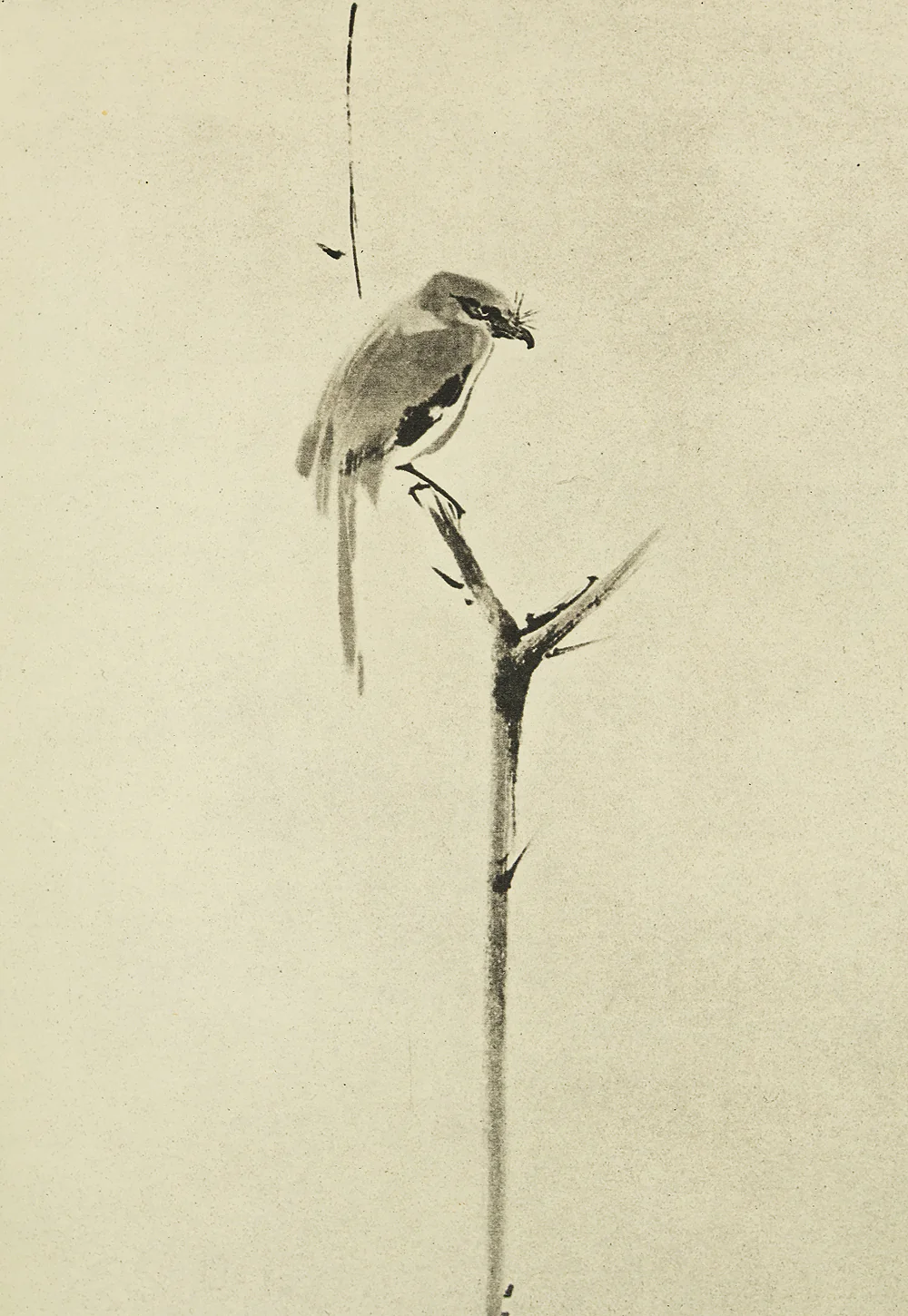 Reproduction Print 宮本武蔵 Miyamoto Musashi Japanese art kakejiku kakemono wall hanging scroll / Shrike on Bare Tree with Box RE542 - Image 5