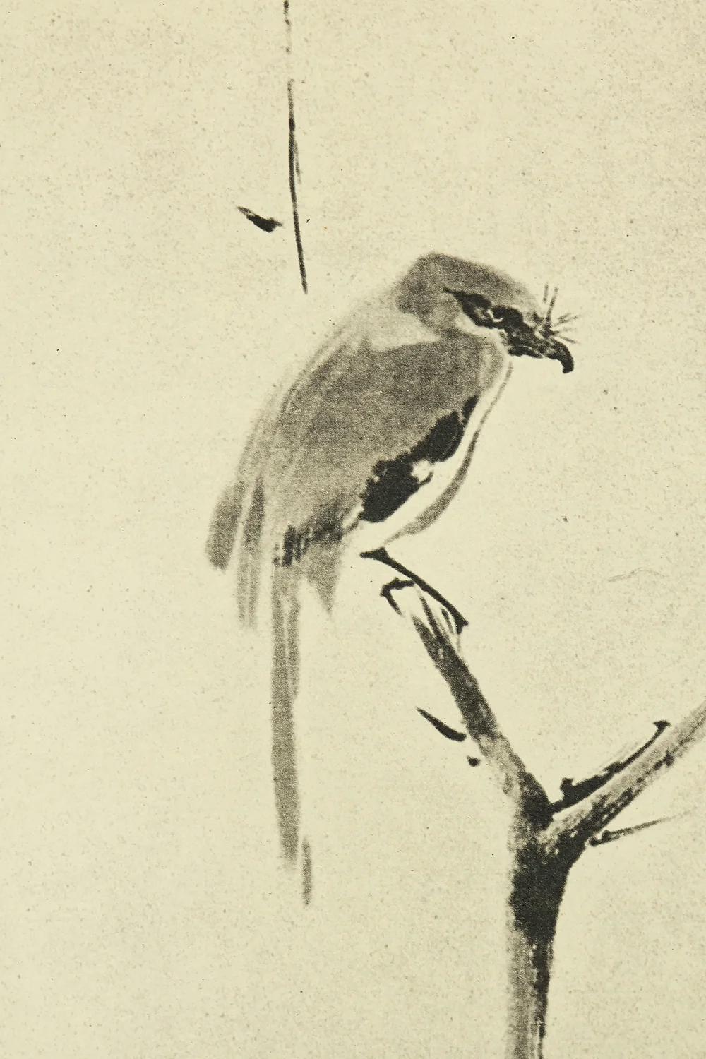 Reproduction Print 宮本武蔵 Miyamoto Musashi Japanese art kakejiku kakemono wall hanging scroll / Shrike on Bare Tree with Box RE542 - Image 6