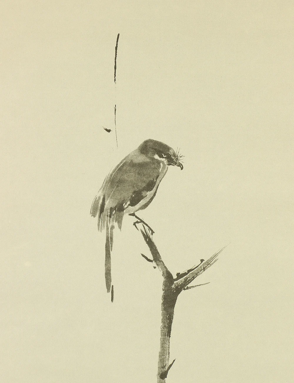 Reproduction Print 宮本武蔵 Miyamoto Musashi Japanese art kakejiku kakemono wall hanging scroll / Shrike on the bare tree with Original Box A421 - Image 5