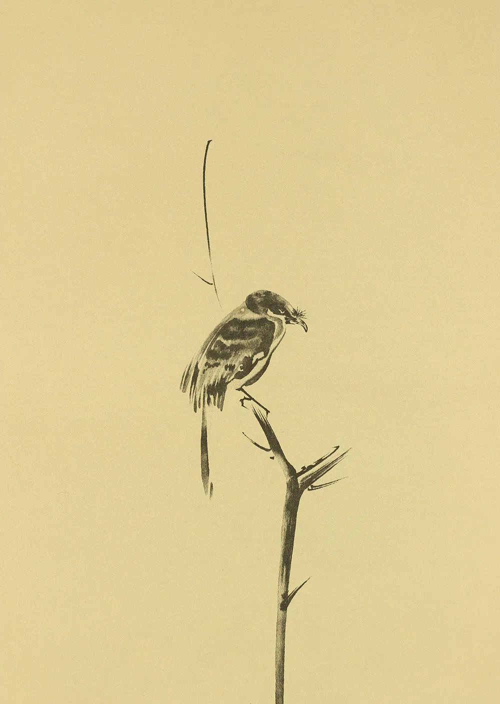 Reproduction Print 宮本武蔵 MIYAMOTO MUSASHI Japanese art kakejiku kakemono wall hanging scroll / Shrike on the bare tree with Original Box W868 - Image 6