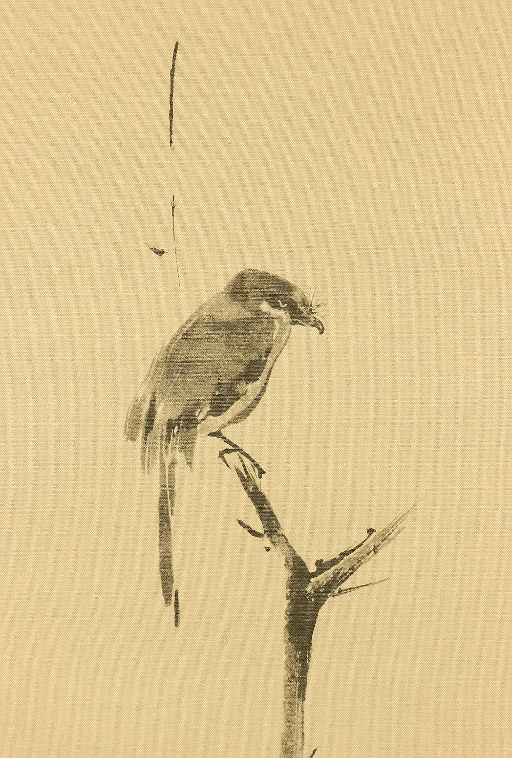 Reproduction Print 宮本武蔵 MIYAMOTO MUSASHI Shrike on bare tree with Box A136 / Japanese art kakejiku kakemono wall hanging scroll - Image 5