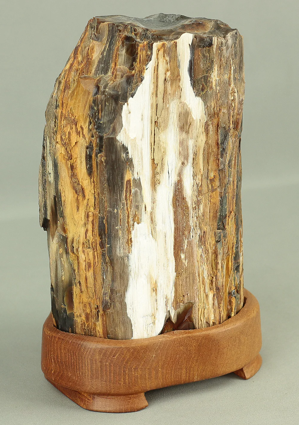 Suiseki - Keikaboku Silicified Wood with Wooden Stand collected in Gifu, 1975 VA230 - Image 11