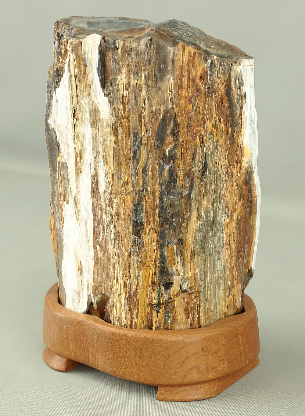 Suiseki - Keikaboku Silicified Wood with Wooden Stand collected in Gifu, 1975 VA230 - Image 14
