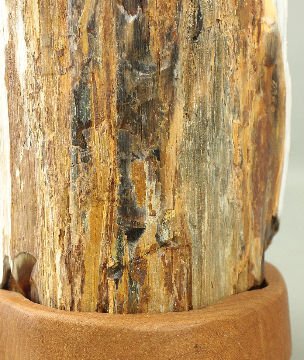 Suiseki - Keikaboku Silicified Wood with Wooden Stand collected in Gifu, 1975 VA230 - Image 16