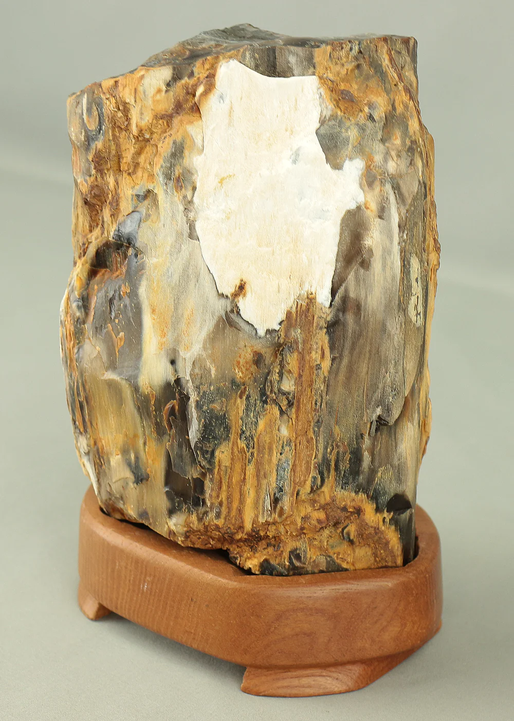 Suiseki - Keikaboku Silicified Wood with Wooden Stand collected in Gifu, 1975 VA230 - Image 27