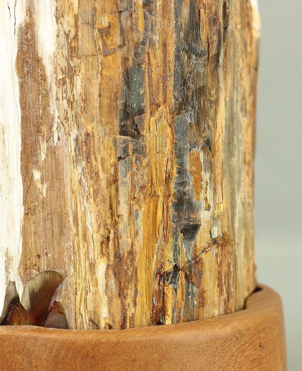 Suiseki - Keikaboku Silicified Wood with Wooden Stand collected in Gifu, 1975 VA230 - Image 9