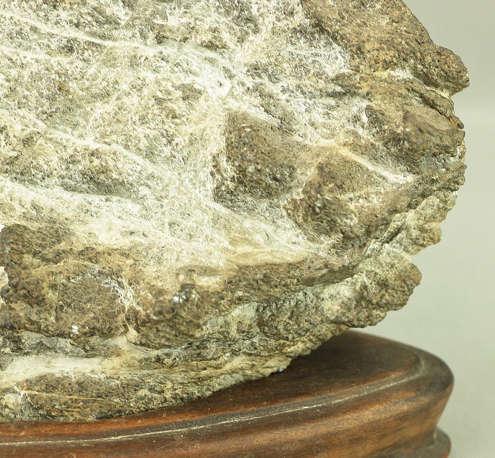 Suiseki Viewing Stone 1.5kg with Wooden Stand VA540 - Image 14